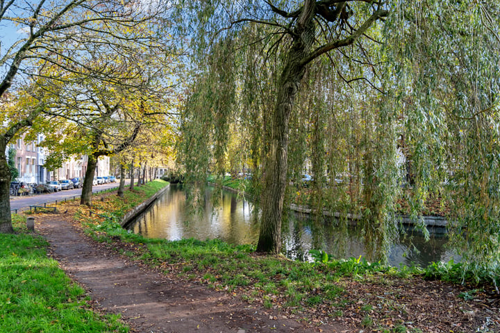 Bekijk foto 30 van Koekoekstraat 10