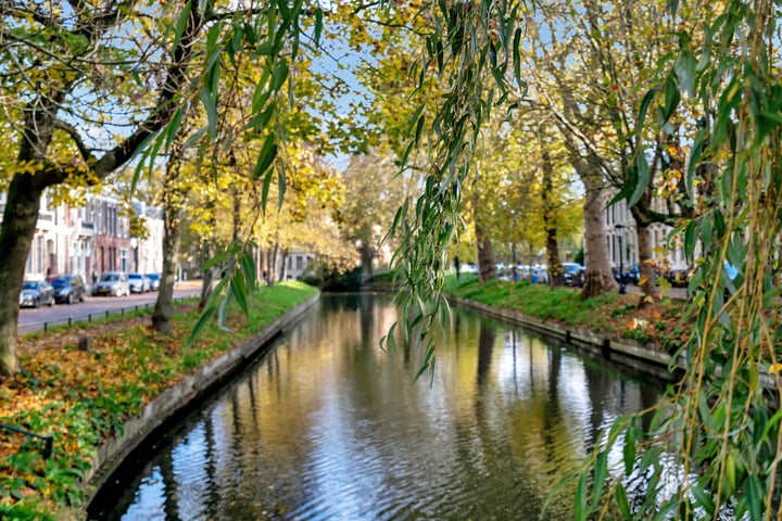 Bekijk foto 31 van Koekoekstraat 10