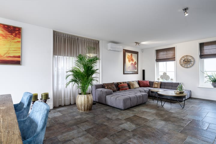 Photo 3 of Beets 101