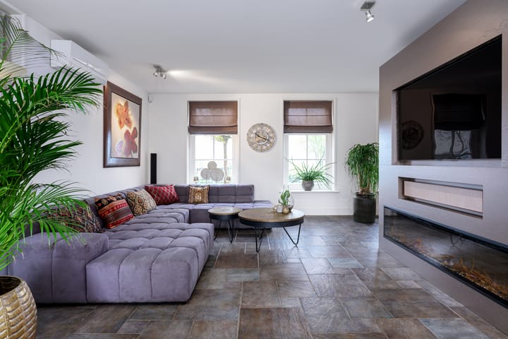 Photo 4 of Beets 101