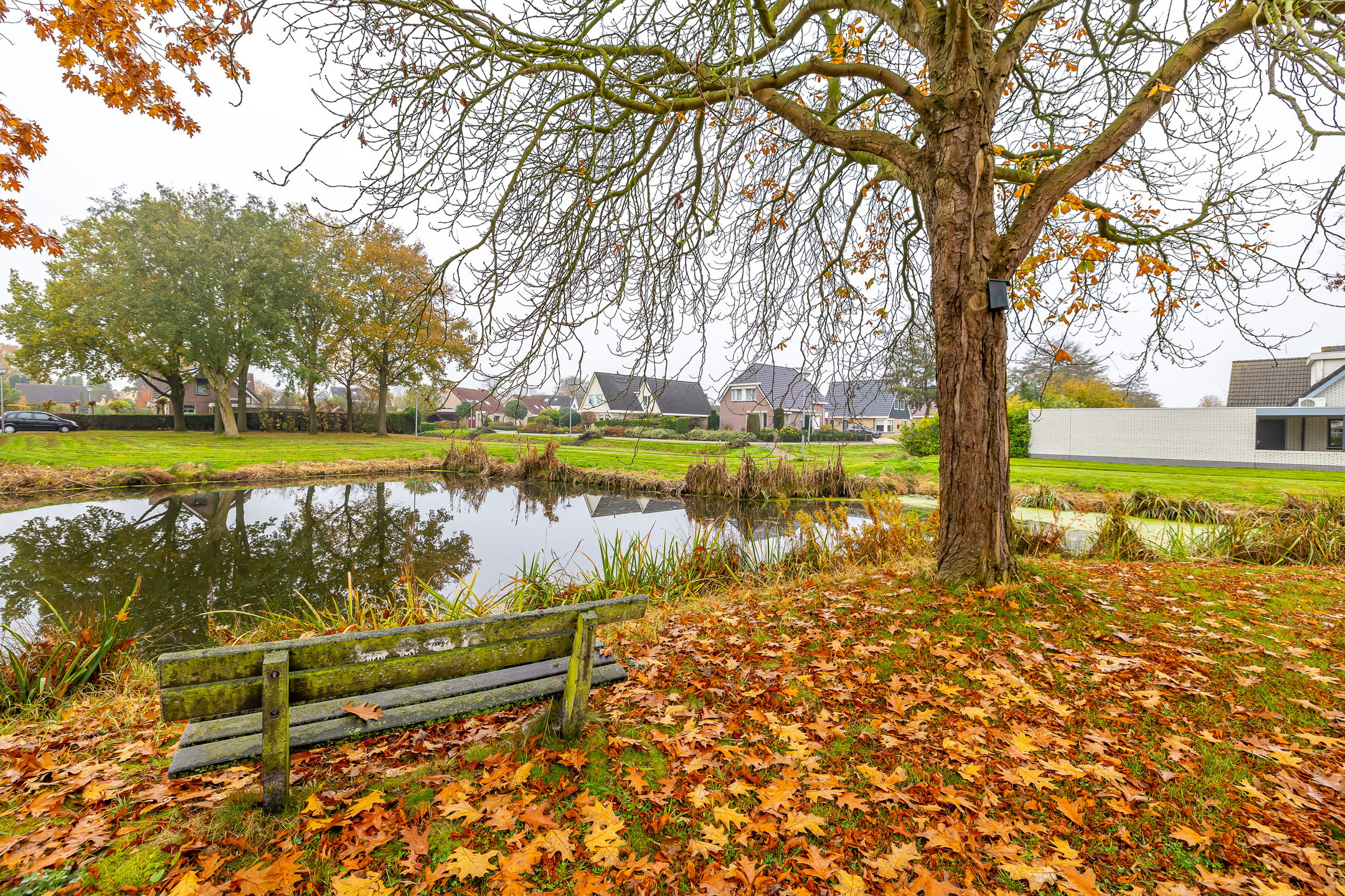 Photo 39 of Boslaan 41