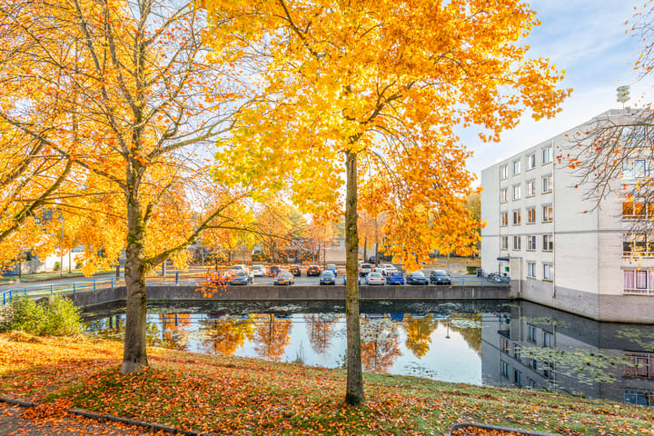 Foto 54 van Marcel Breuererf 25