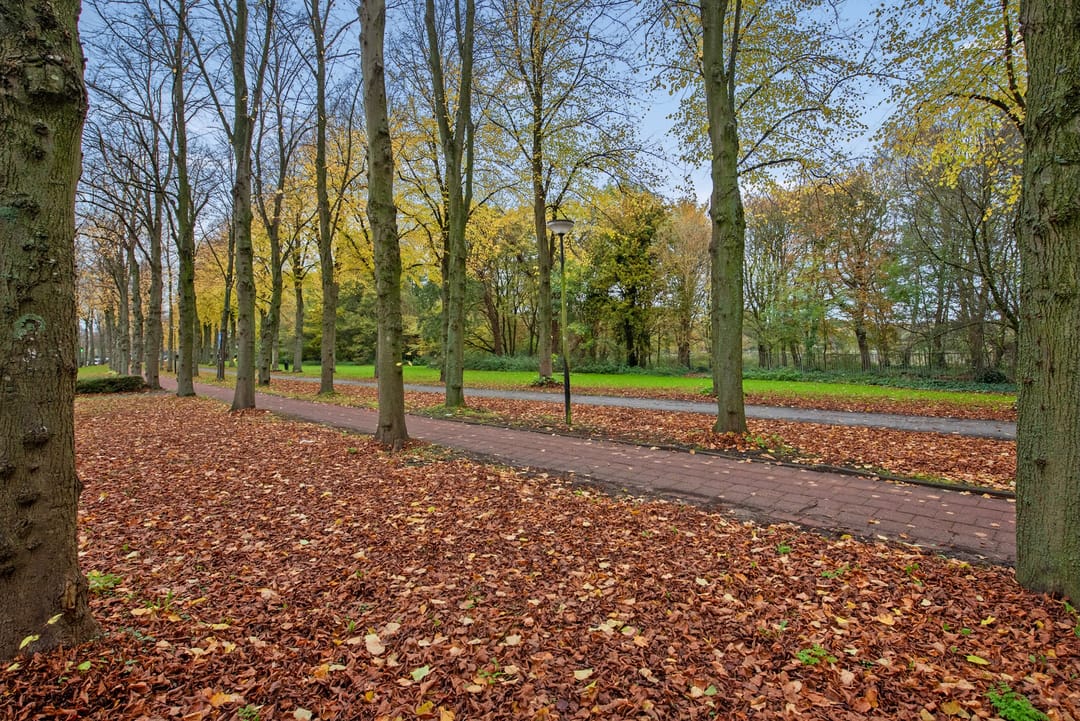 Foto 37 van Huis te Landelaan 404