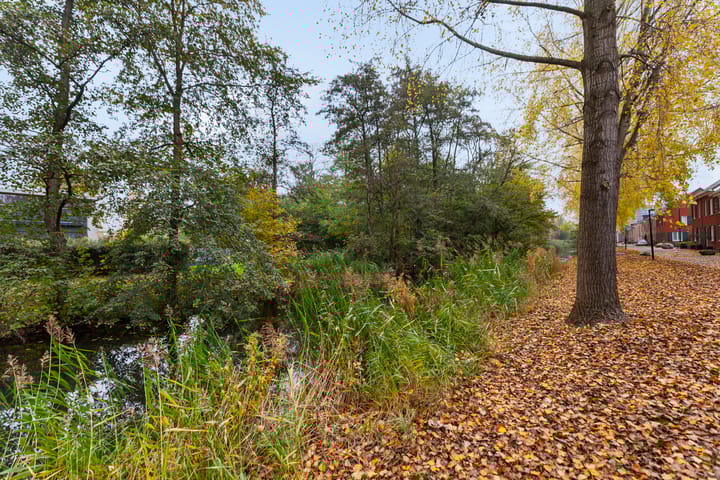 Foto 38 van Winterkoningstraat 16