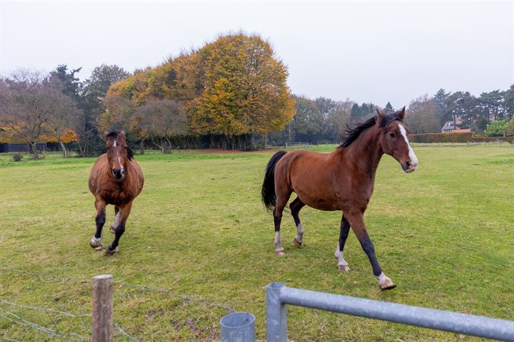 Bekijk foto 35 van Hein Keverweg 14