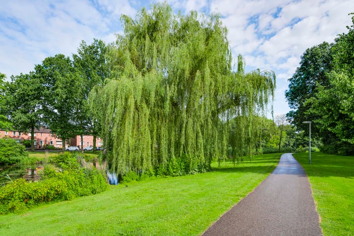 View photo 46 of Kasteel Kessenichstraat 5