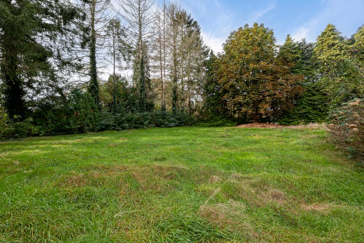 Foto 41 van Bargerweg 1