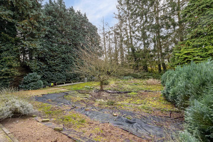 Foto 44 van Bargerweg 1