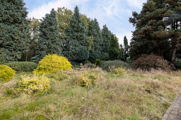 Foto 48 van Bargerweg 1