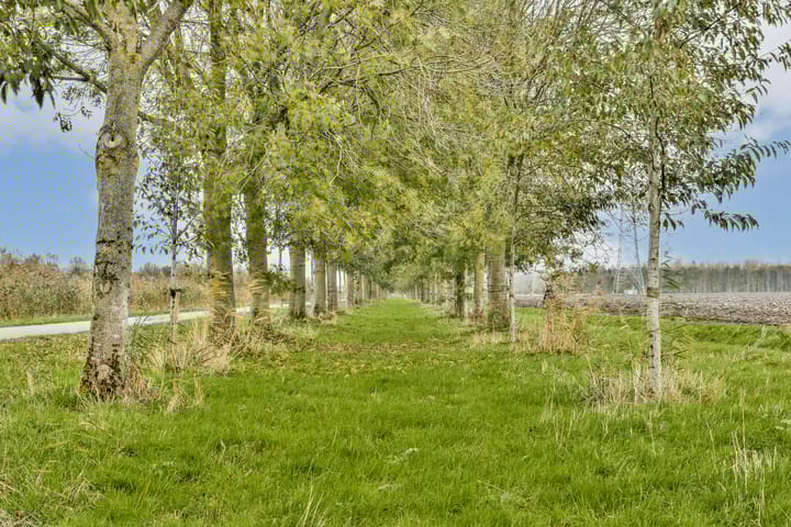 Foto 33 van Puerto Ricostraat 47