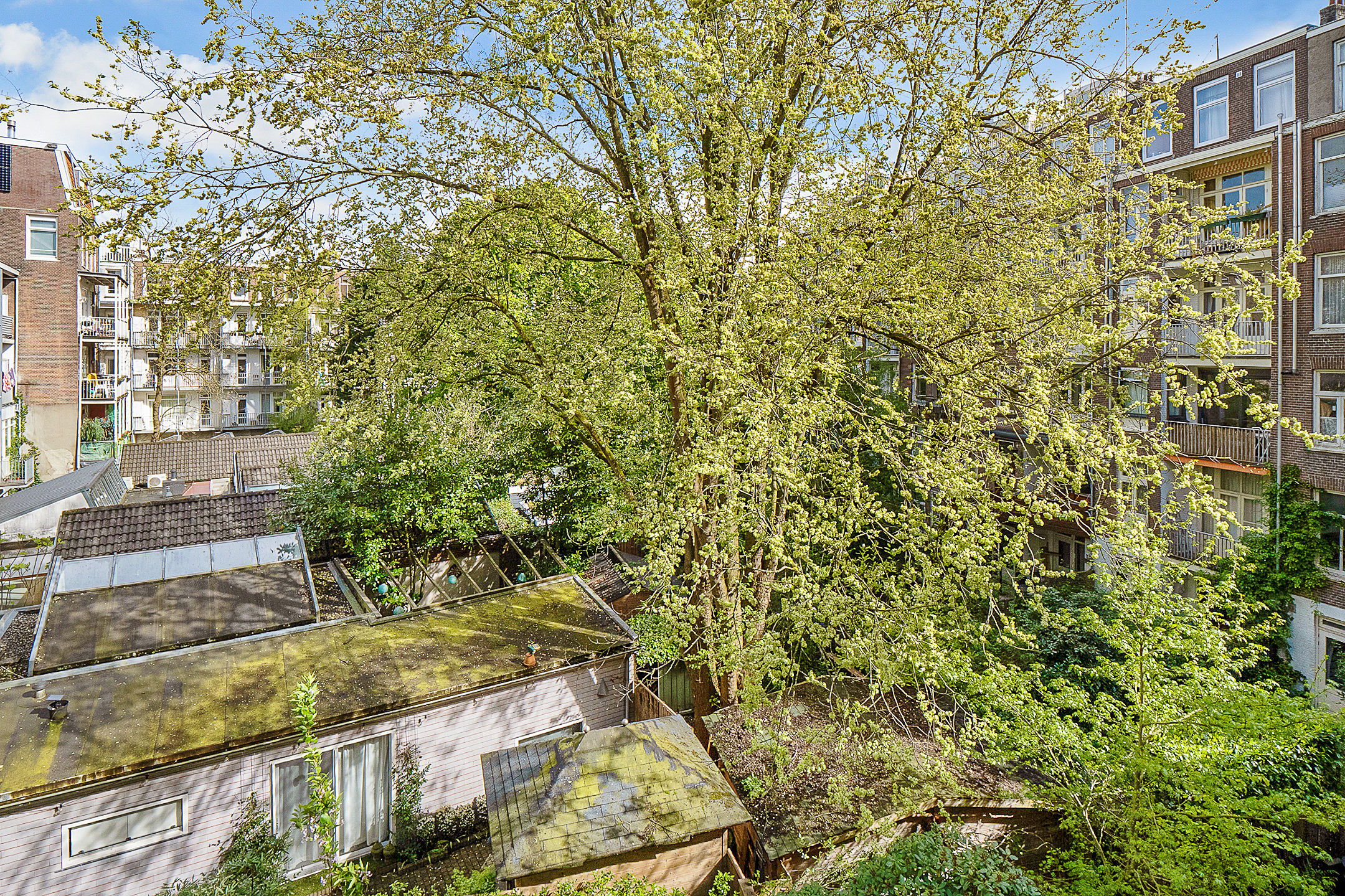 Foto 18 van Roelof Hartstraat 21-2