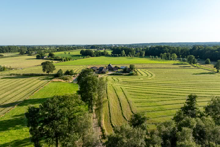 Foto 4 van Spankerenseweg 57