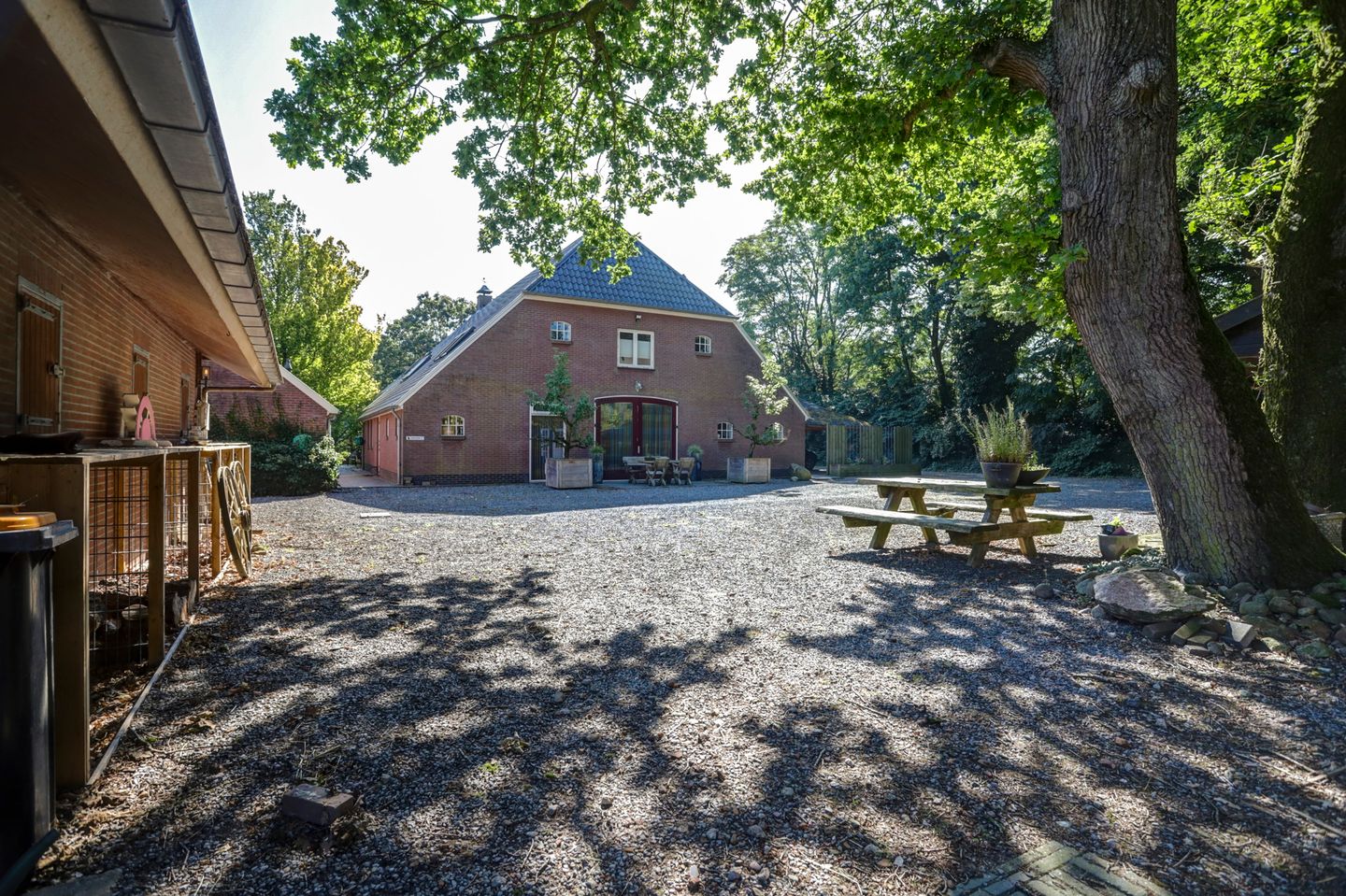 Foto 4 van Borgerderweg 25