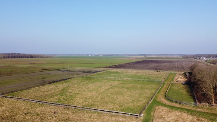 Foto 7 van Borgerderweg 25