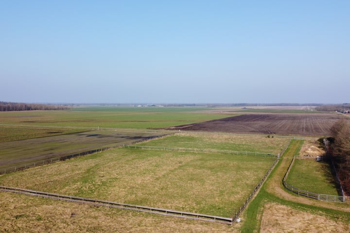 Bekijk foto 7 van Borgerderweg 25