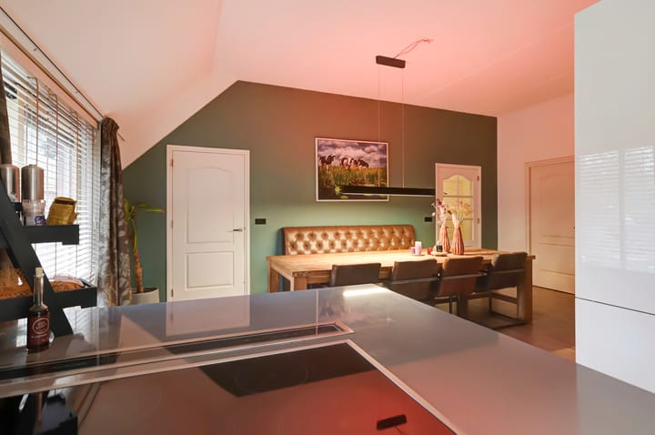 Foto 20 van Borgerderweg 25