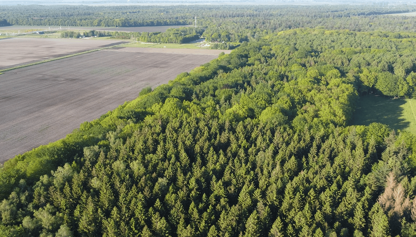 Foto 60 van Borgerderweg 25