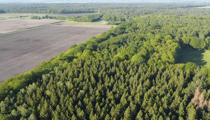 Foto 60 van Borgerderweg 25