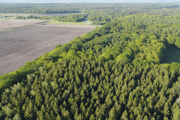 Bekijk foto 60 van Borgerderweg 25