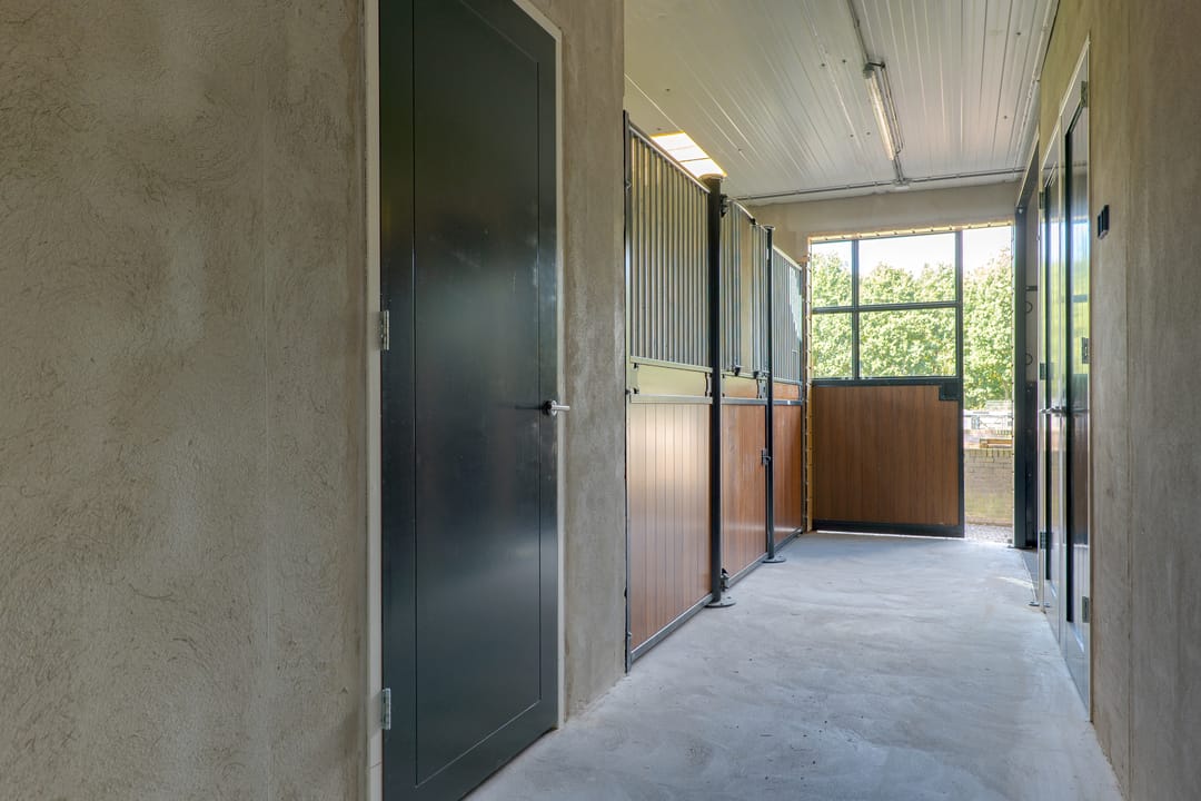 Foto 67 van Borgerderweg 25