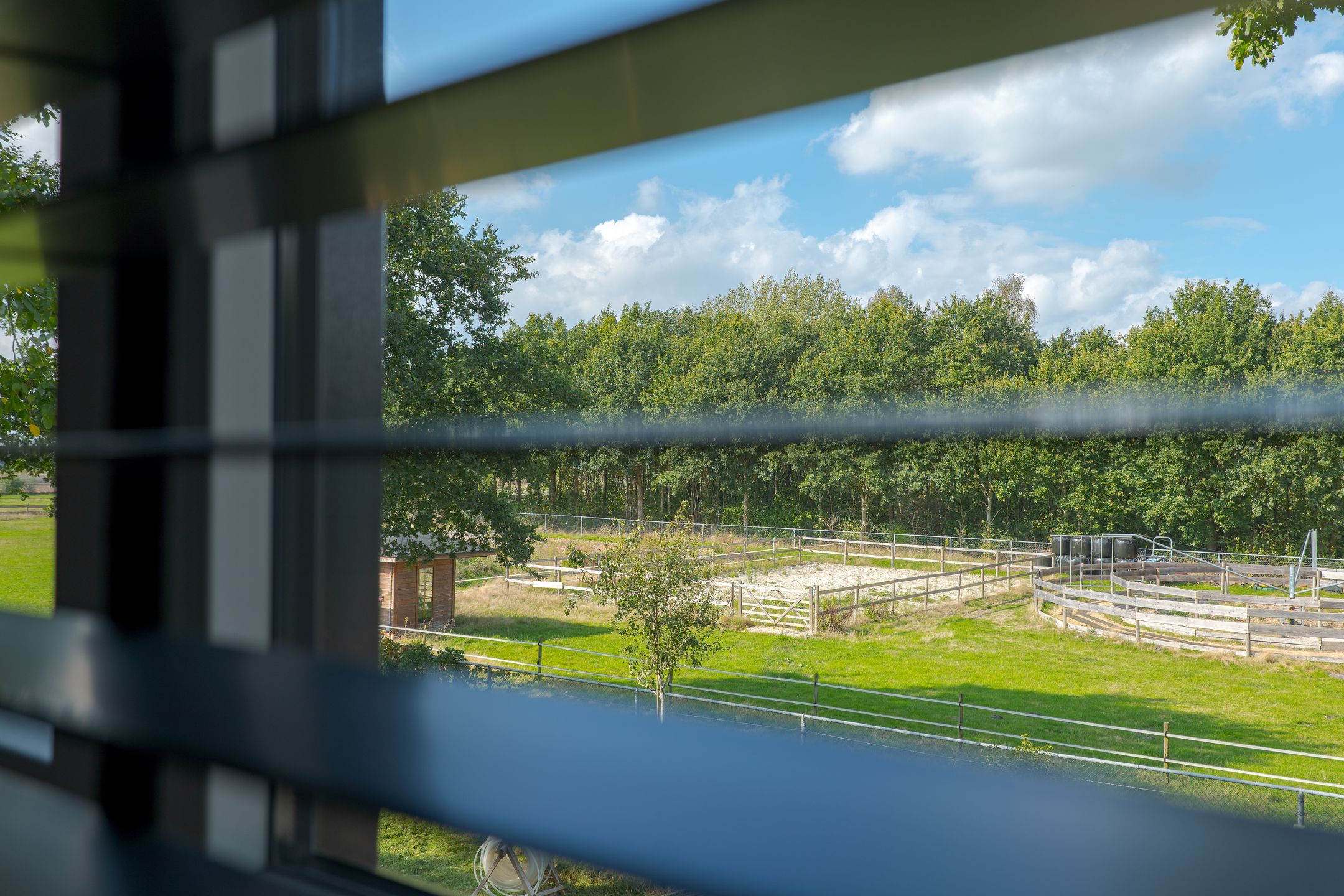 Foto 99 van Borgerderweg 25