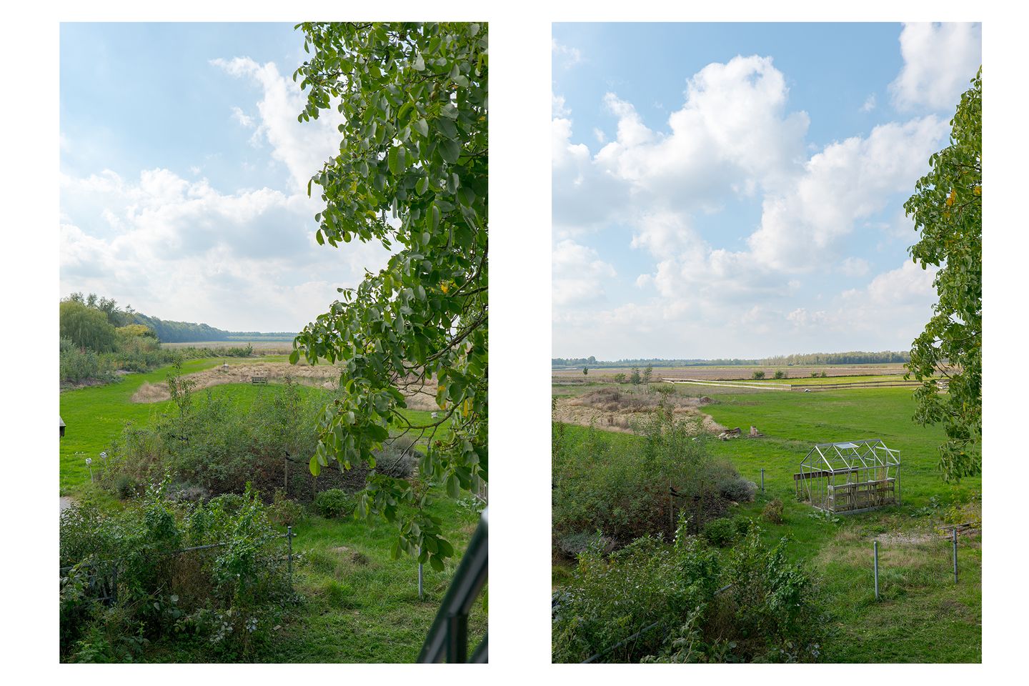 Foto 110 van Borgerderweg 25