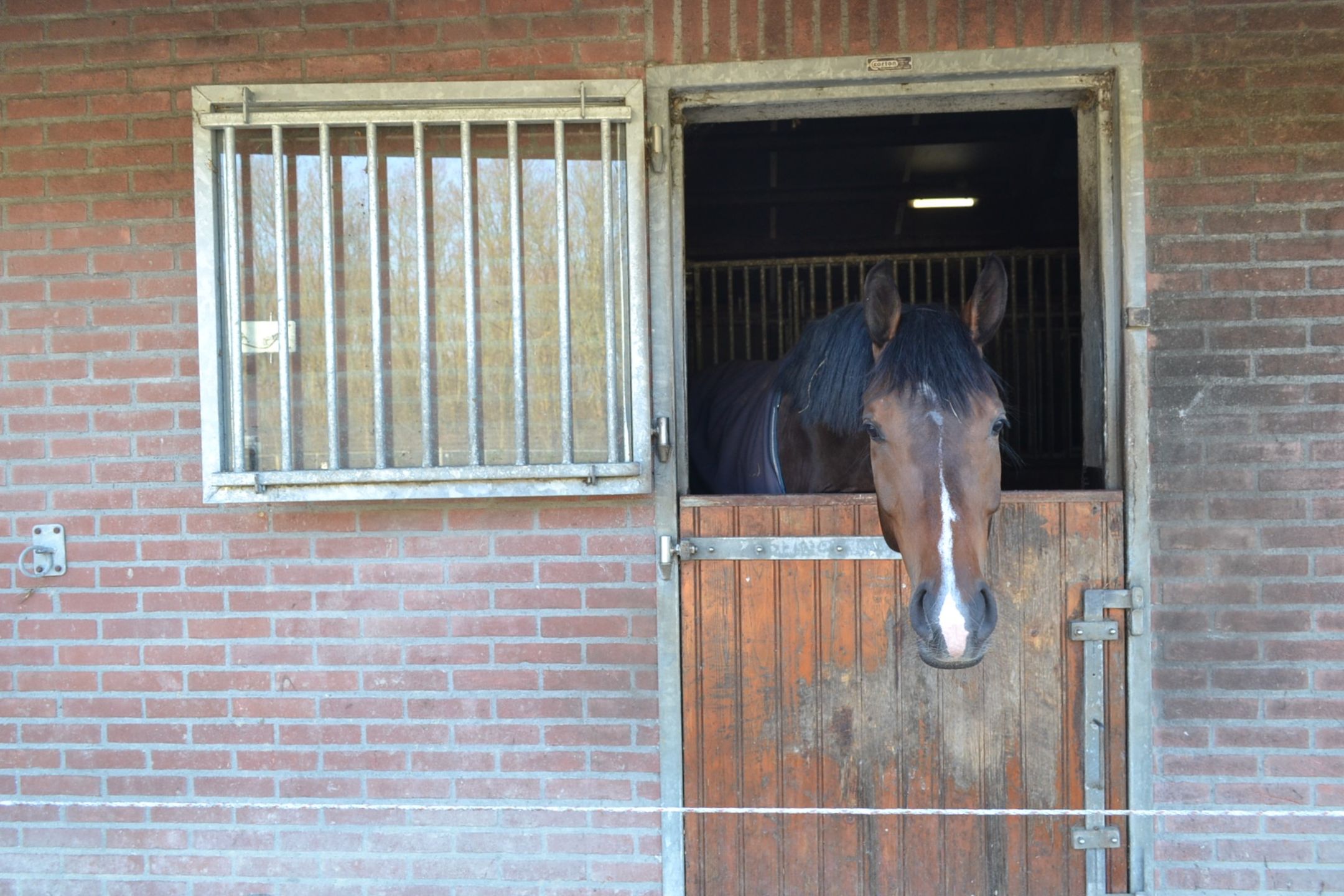 Foto 117 van Borgerderweg 25