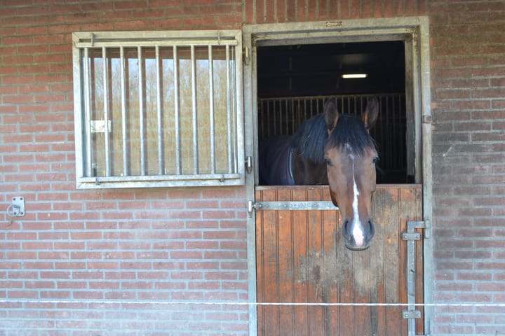 Foto 117 van Borgerderweg 25