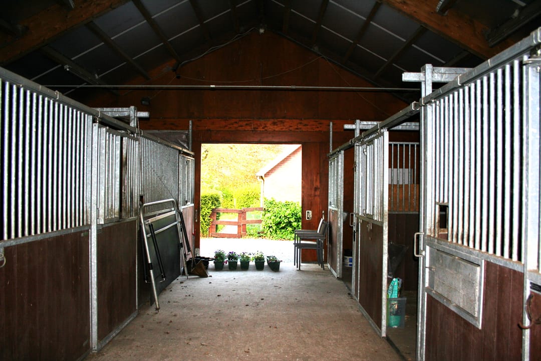 Foto 118 van Borgerderweg 25