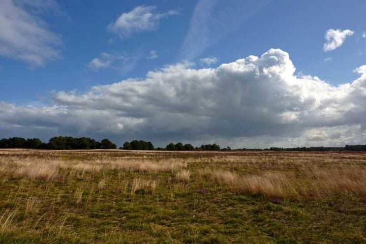 Bekijk foto 120 van Borgerderweg 25