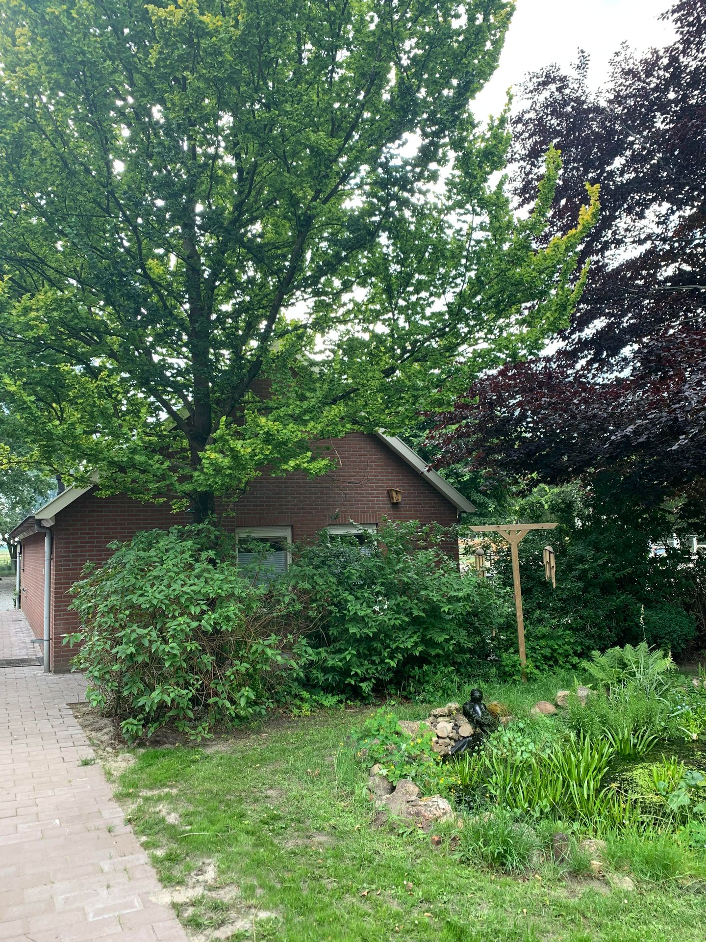 Foto 124 van Borgerderweg 25