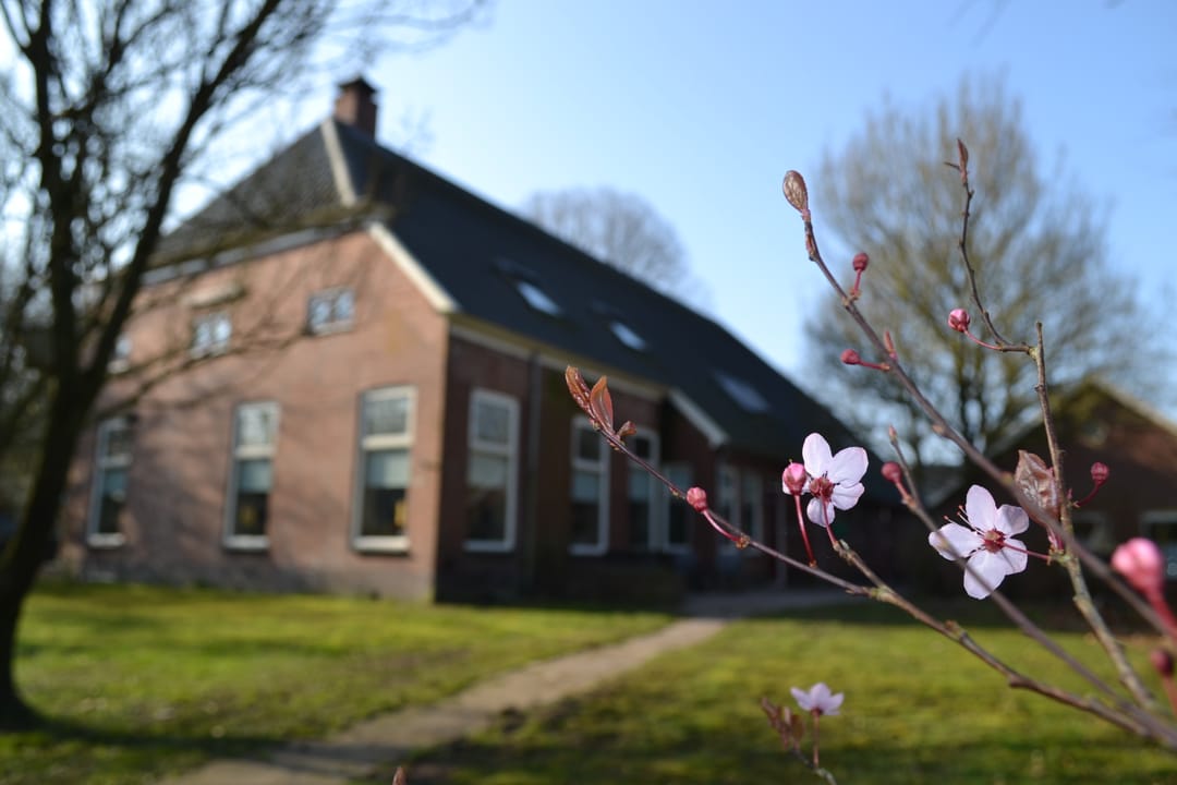 Foto 136 van Borgerderweg 25