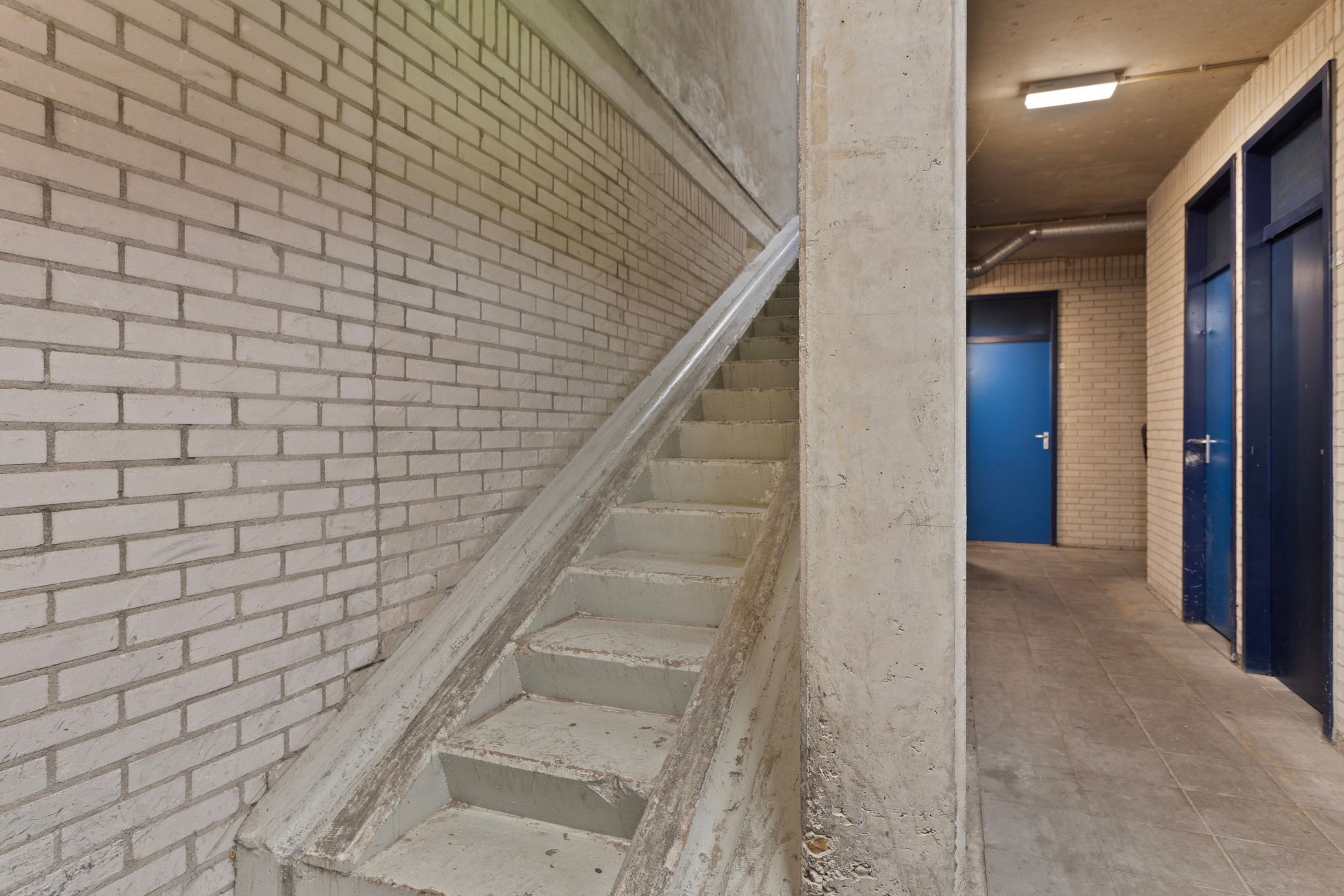 Foto 39 van Noordse Bosje 10