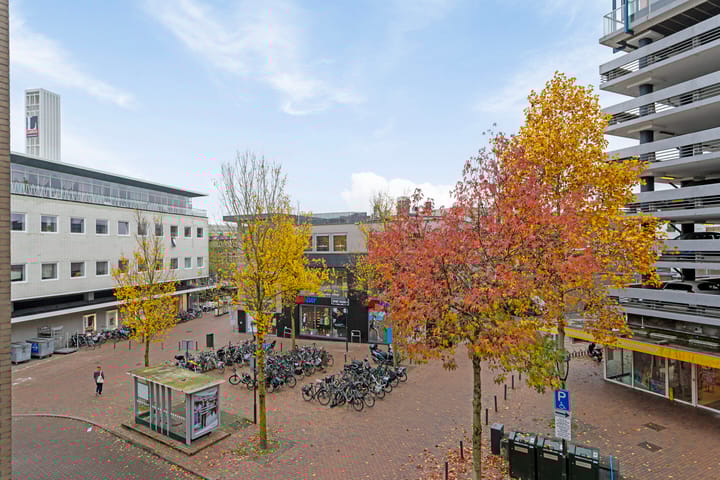 Foto 42 van Noordse Bosje 10