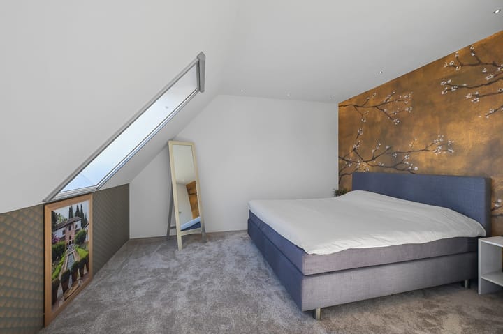 Foto 18 van Benedenland 6