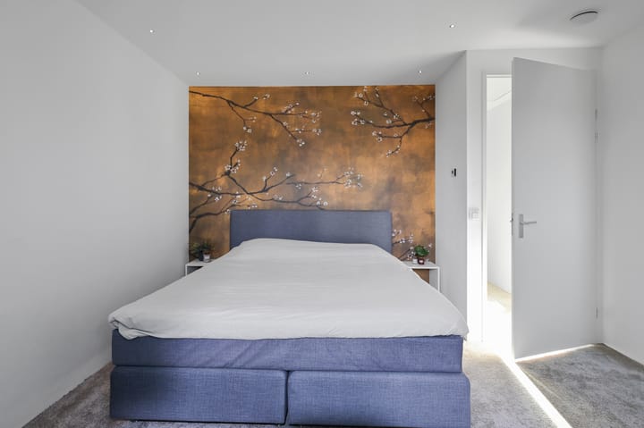 Foto 20 van Benedenland 6