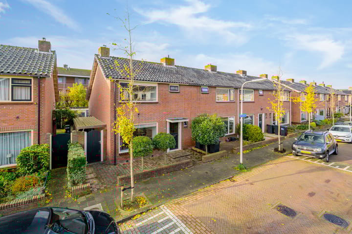 Photo 41 of Rozenburg 21