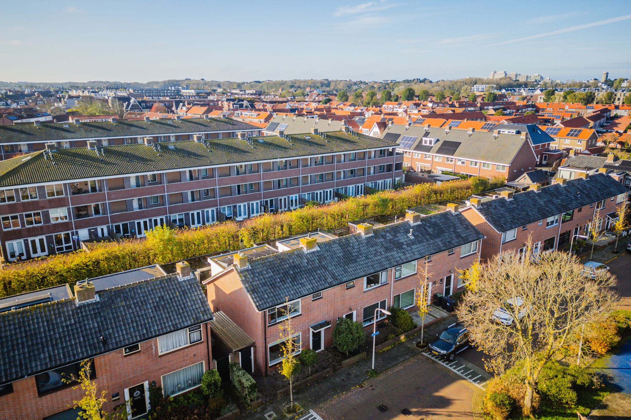 Photo 45 of Rozenburg 21