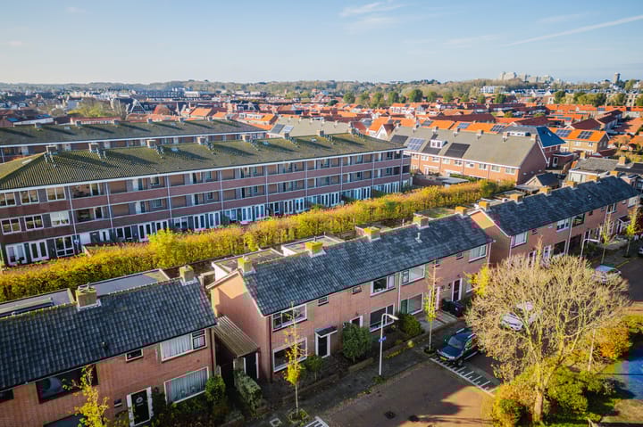 Photo 45 of Rozenburg 21