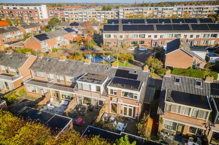 Photo 47 of Rozenburg 21