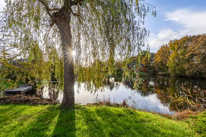 Foto 46 van Fonteinkruid 55