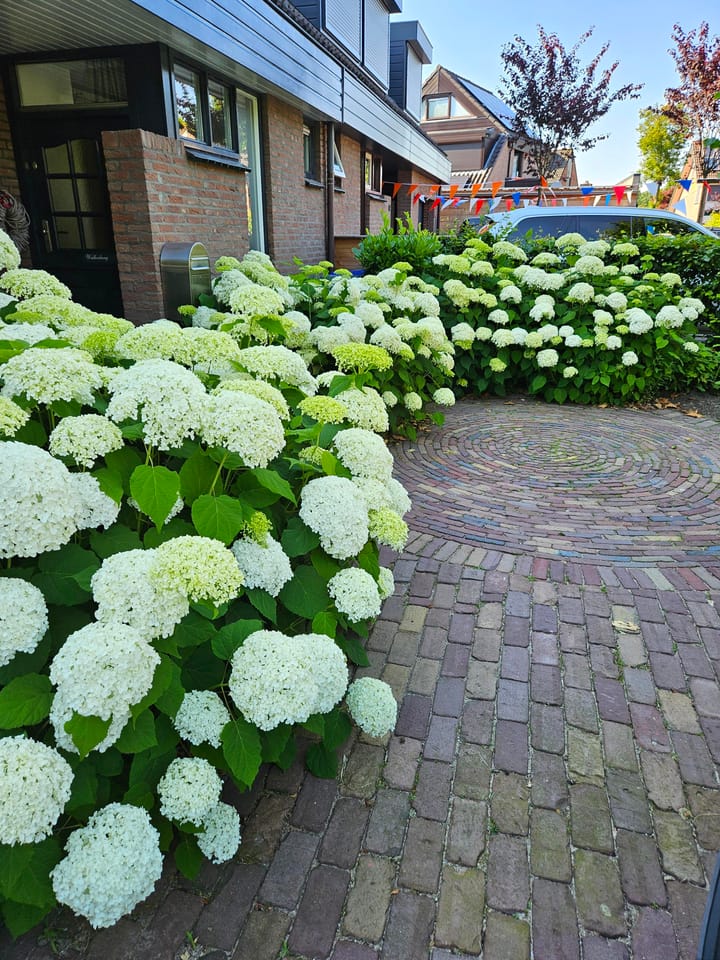 Foto 45 van Myrtegaarde 9