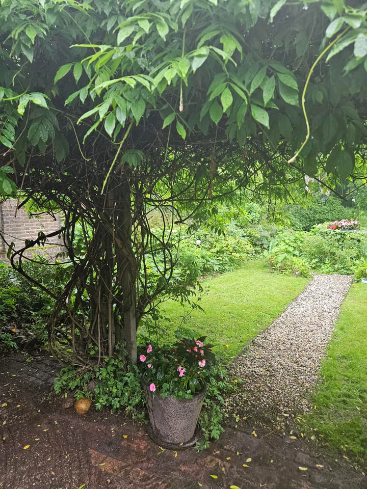 Foto 46 van Myrtegaarde 9