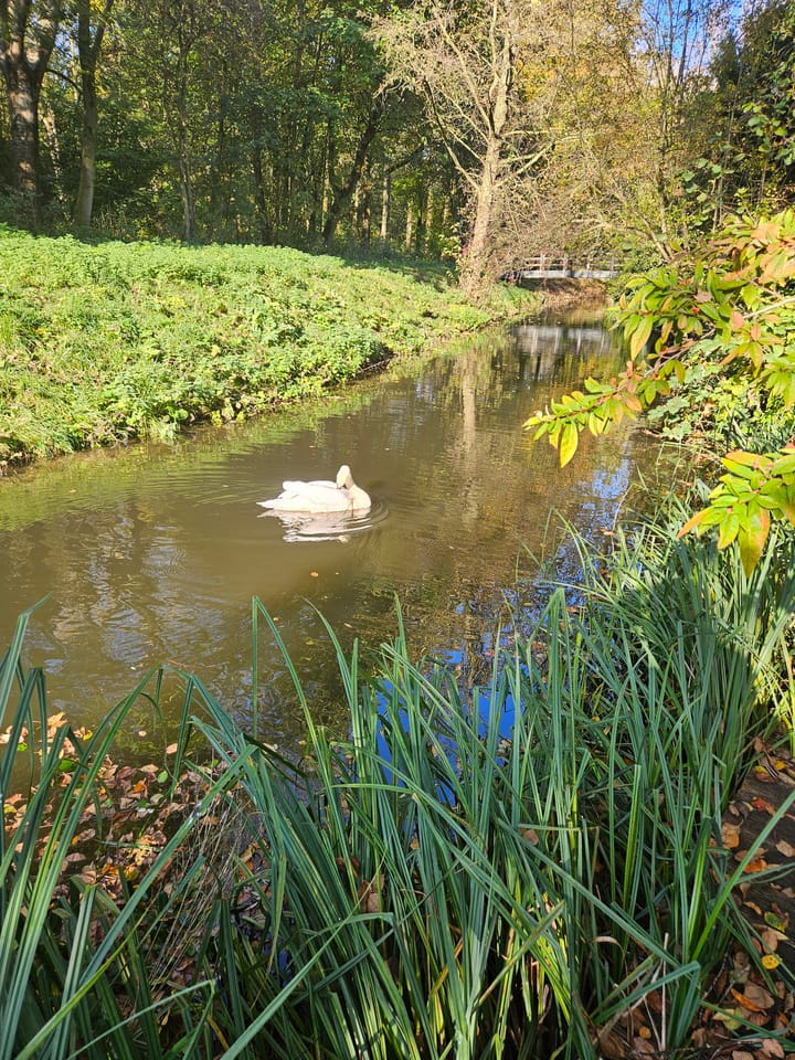 Foto 48 van Myrtegaarde 9