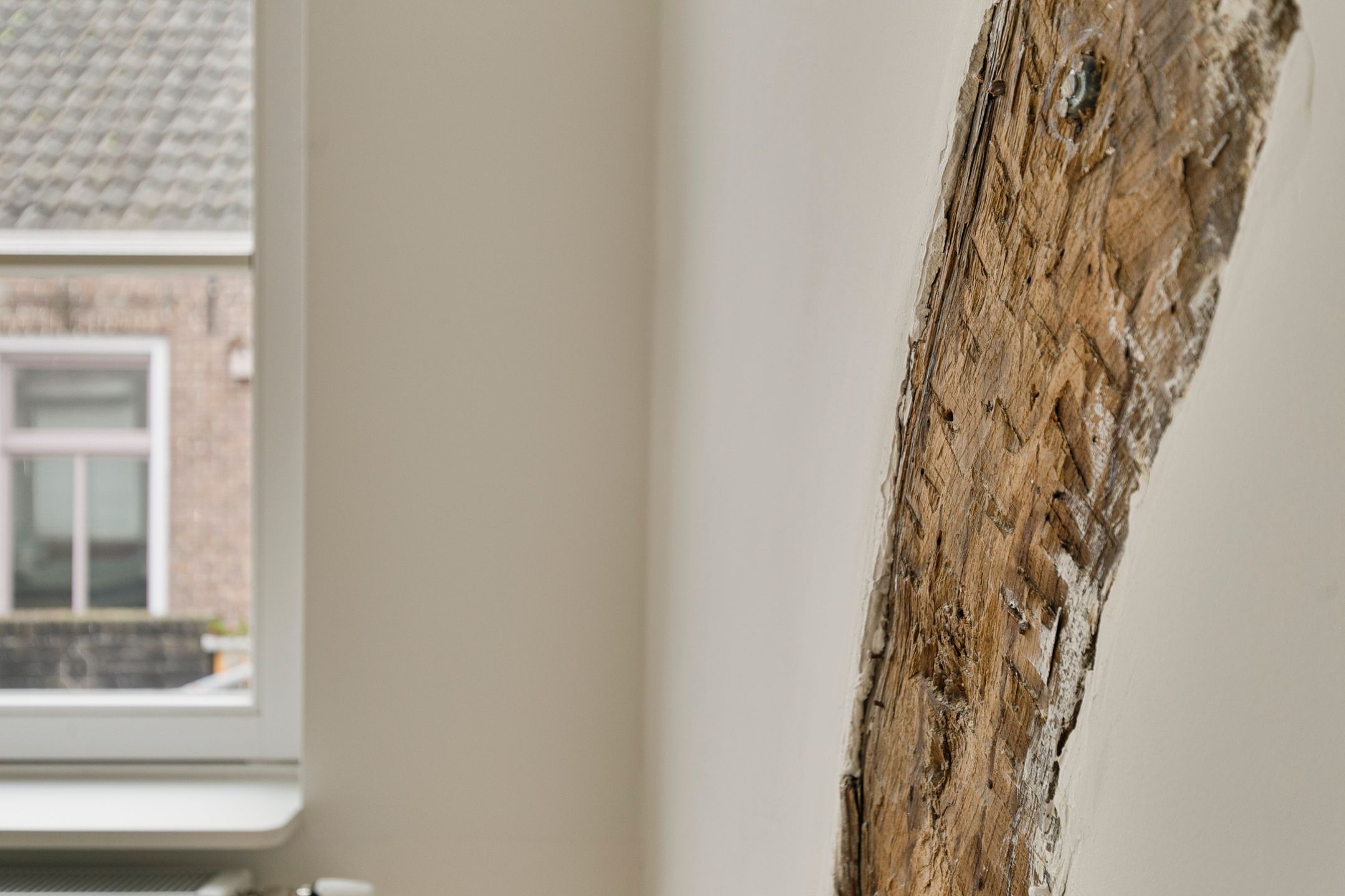 Photo 30 of Catharinastraat 38