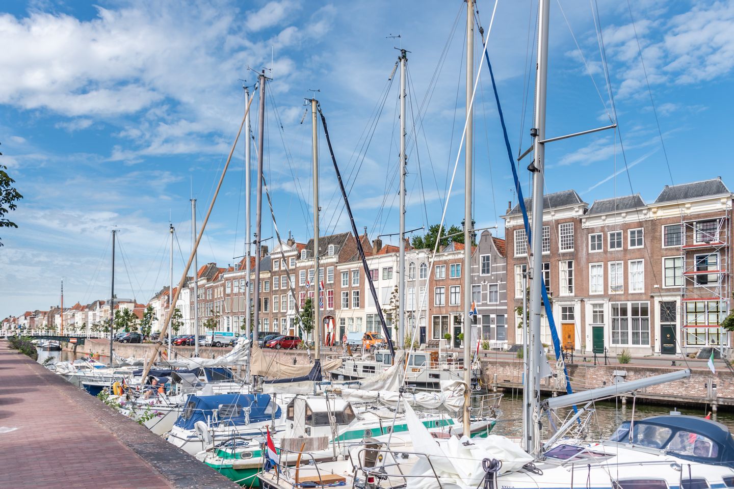 Foto 4 van Parelmoervlinder L01