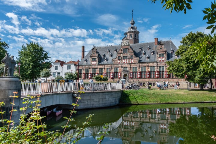 Foto 5 van Parelmoervlinder L02