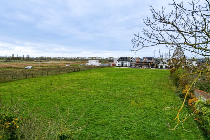 Foto 2 van Parelmoervlinder L03