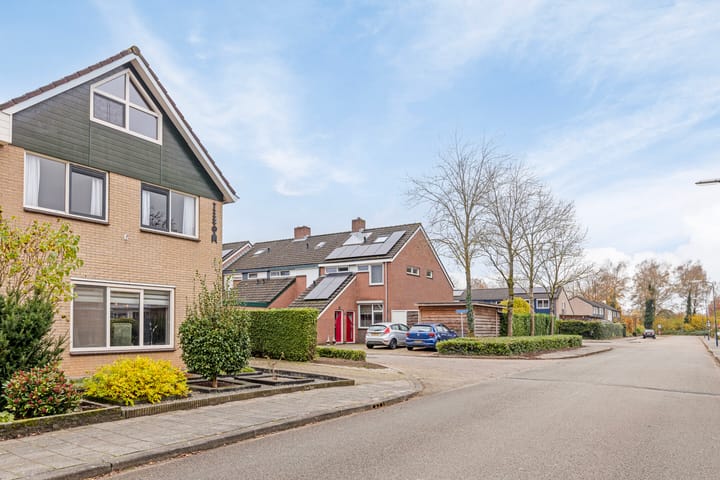 Foto 5 van Borgsche Rieten 97