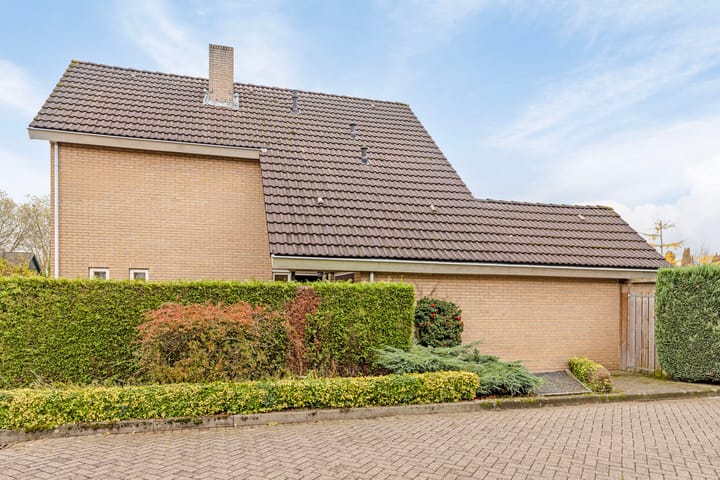 Foto 7 van Borgsche Rieten 97